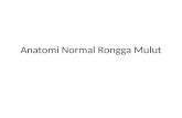 Anatomi Normal Rongga Mulut