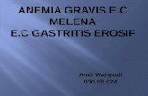 Ppt Andi Dr.syafrudin Anemia Gravis