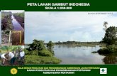 Naskah Peta Gambut Indonesia 2011
