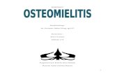 26812884 Referat Osteomielitis