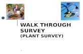 New Plant Survey