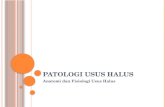 PATOLOGI USUS HALUS
