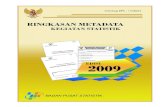 Metadata 2009