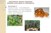 Presentasi No_5_4_Perspektif Benih Tanaman Rempah Dan Obat Di Indonesia