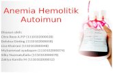 Anemia Hemolitk Autoimun Fix