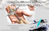 Tendon Transfer