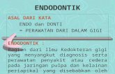 Endodontik 1 (1)
