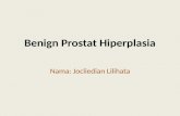 Benign Prostat Hiperplasia
