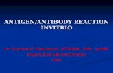 ANTIGEN Antibody Reaksi