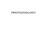 Protozology [Dr. Bagus]