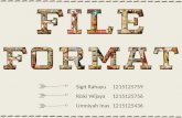 File Format Multimedia
