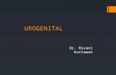 bimbingan urogenital