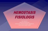 Hemostasis Fisiologis