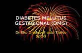 Diabetes Mellitus Gestasional (Dmg)