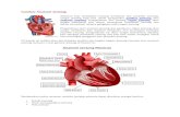 Gambar Anatomi Jantung