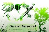 Guard Interval