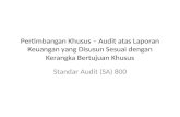 Standar Audit SA800an