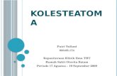 19531214 KOLESTEATOMA Presentation Slide