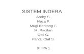 Presentasi Indera Fixed XI IPA 1