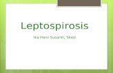 Ika Penyuluhan Leptospirosis