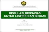 Regulasi Bioenergi Untuk Listrik
