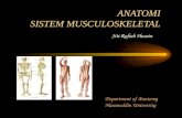 1 Anatomi Muskuloskeletal