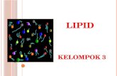 Presentasi LIPID Kel 3