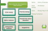 Aliran Energi dan Siklus Biogeokimia
