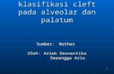 Anatomi Dan Klasifikasi Cleft Pada Alveolar Dan Palatum SWJ