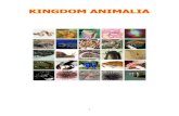 23486357 About Kingdom Animalia