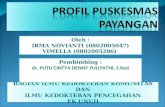 Profil Puskesmas Payangan.ppt