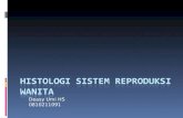 Histologi Sistem Reproduksi Wanita Deasy...
