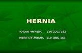 HERNIA POWER POINT.ppt