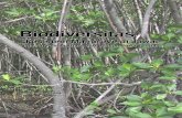 Botani Mangrove Biodiversitas Ekosistem Mangrove Di Jawa Tinjauan Pesisir Utara Dan Selatan Jawa Tengah