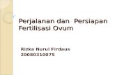 Referat Perjalanan Dan Persiapan Fertilisasi Ovum