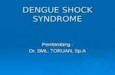 Dengue Syok Sindrome Kel 3