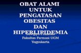 Obat Alami Obesitas Dan Hiperlipidemia