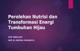 Perolehan Nutrisi Dan Transformasi Energi