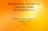 Perubahan Struktur Tulang Pada Osteoporosis