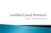 Lumbal Canal Stenosis Print2