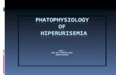 Patofisiologi Hiperurisemia