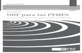 Una Guia para Micro Entidades que apliquen la NIIF para las Pymes (2009)