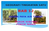 Geo bab 12