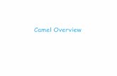 Camel overview