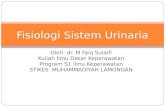 Fisiologi sistem urinaria
