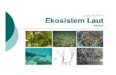 biologi dasar - ekosistem laut