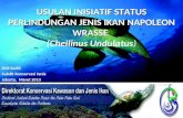 Inisiatif Usulan Status Perlindungan Ikan Napoleon
