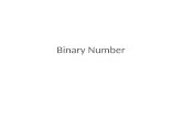 Binary number
