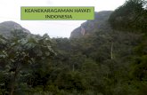 Keanekaragaman hayati indonesia
