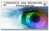 Persepsi dan Mekanisme penglihatan